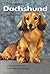 Contemporary Dachshund