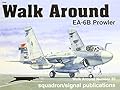 Grumman EA-6B Prowler - Walk Around No. 35