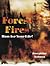 Forest Fires: Run for Your Life!