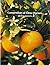 Compendium of Citrus Diseases (Compendium of Plant Disease Series)