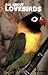 All About Lovebirds