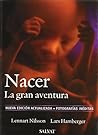 Nacer. La gran aventura (Maternidad/Psicologia / Maternity/Psychology) (Spanish Edition)