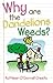 Why Are the Dandelions Weeds
