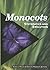 Monocots: Systematics and Evolution