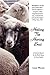 Healing the Hurting Soul: A Survuval Manual for the Black Sheep in Every Family