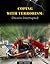 Coping with Terrorism by carol-lieberman