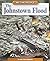 The Johnstown Flood (We the People)