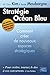 Stratégie Océan Bleu: Comment Créer De Nouveaux Espaces Stratégiques