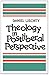Theology in Postliberal Perspective by Daniel Liechty
