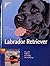 Labrador Retriever. Auswahl...