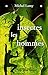 Insectes Et Les Hommes by Michel Lamy