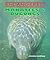 Manatees & Dugongs (Endangered)