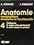 Anatomie T4 - L'abdomen, la région rétro-péritonéale, le petit bassin, le périnée: T4 L'ABDOMEN