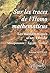 Sur les traces de l'homomathématicus - Les mathématiques avant Euclide - Mesopotamie-Egypte-grèce (French Edition)