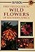 Sasol wild flowers of southern Africa: A first field guide (Sasol First Field Guide)