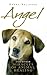 Angel : And Other Miracles of Holistic Animal Healing