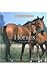 Horses (Perfect Pets)