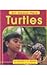 Turtles (All About Pets)