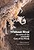 Without rival: The story of the wonderful Cave of the Winds