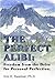 The Perfect Alibi: Freedom from the Drive for Personal Perfection