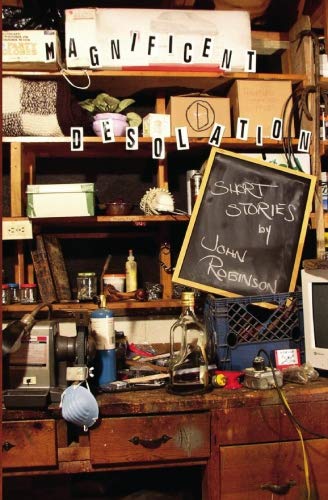 Magnificent Desolation (Paperback)