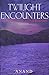 Twilight encounters: The fourth nail and other stories
