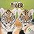 Save the Tiger