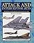Attack and Interceptor Jets