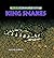 King Snakes by Heather Feldman