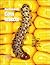 Handbook of Corn Insect Pests