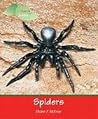 Spiders (Insects and Spiders)