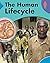 Human Lifecycle (Body Science)