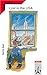 Lost in the USA. Lernjahr 3 u. 4. (Lernmaterialien)