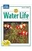 Water Life (Wonders of Science)