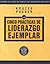 Las Cinco Practicas de Liderazgo Ejemplar (The Leadership Pra... by James M. Kouzes