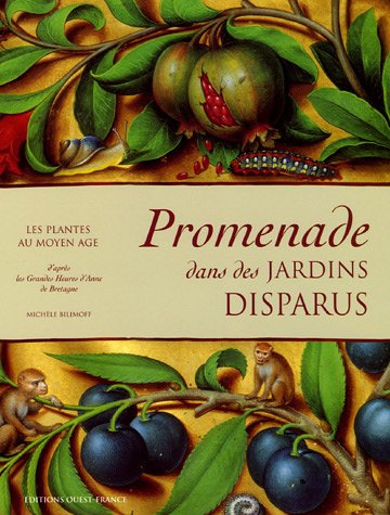 Promenade Dans Des Jardins Disparus: Les Plantes Du Moyen Âge D'après Les "Grandes Heures D'anne De Bretagne:  Bibliothèque Nationale, Ms. Latin 9474 (Paperback)