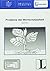 Fernstud 22 Probleme der Wortschatzbeit (Texto) (German Edition)