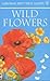 Wild Flowers Spotter's Guide (Usborne Spotter's Guides)