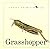 Grasshopper