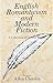 English Romanticism and Modern Fiction by Allan Chavkin