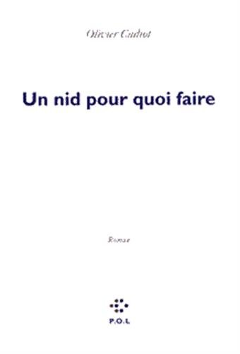Un nid pour quoi faire (Paperback)