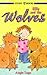Ellie and the Wolves (Hodder Story Book)