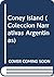 Coney Island (Coleccion Narrativas Argentinas) (Spanish Edition)