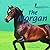 The Morgan (The Library of Horses)