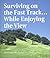 Surviving on the Fast Track: While Enjoying the View