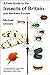 A field Guide to the Insects of Britian and Northern Europe by Michael Chinery