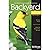 Bird Watchers Digest 345 An Identification Guide to Common Backyard Birds