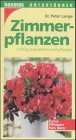 Zimmerpflanzen richtig auswählen und pflegen. Extra: Pflanzen fürs Büro. Zimmerpflanzen richtig auswählen und pflegen. Extra: Pflanzen fürs Büro.