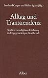 Alltag und Transzendenz: Studien zur religiösen Erfahrung in der gegenwärtigen Gesellschaft (German Edition)