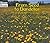 From Seed to Dandelion (Welcome Books: How Things Grow)